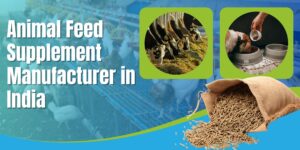 Animal Feed Supplement Manufacturer in India