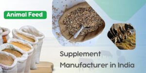 Animal Feed Supplement Manufacturer in India